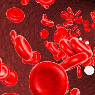 Tisztítja az ereket és növeli azok rugalmasságát